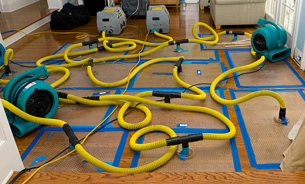 Professional Flood Damage Restoration technician working in Little Deer Isle, ME